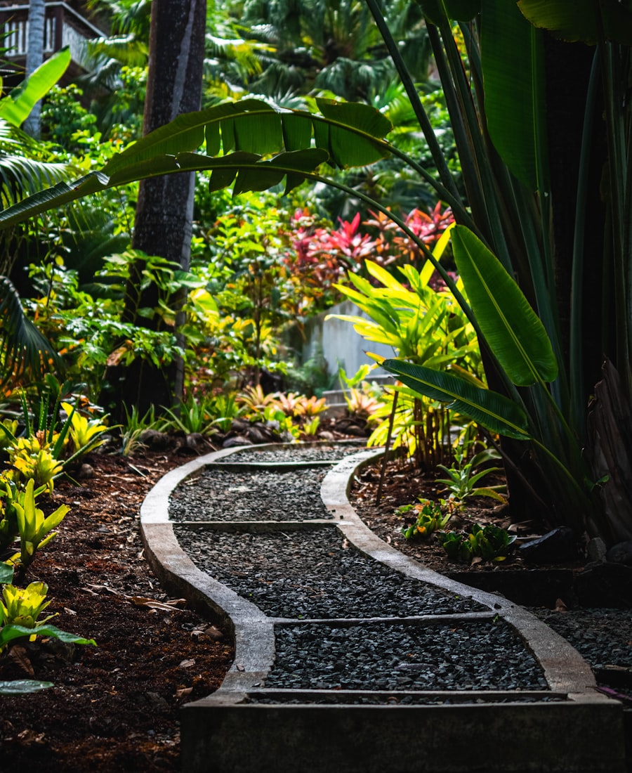 Jardin tropical paysagé et entretenu par SUCCEDIT en Guadeloupe